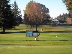 Morrinsville Golf Club